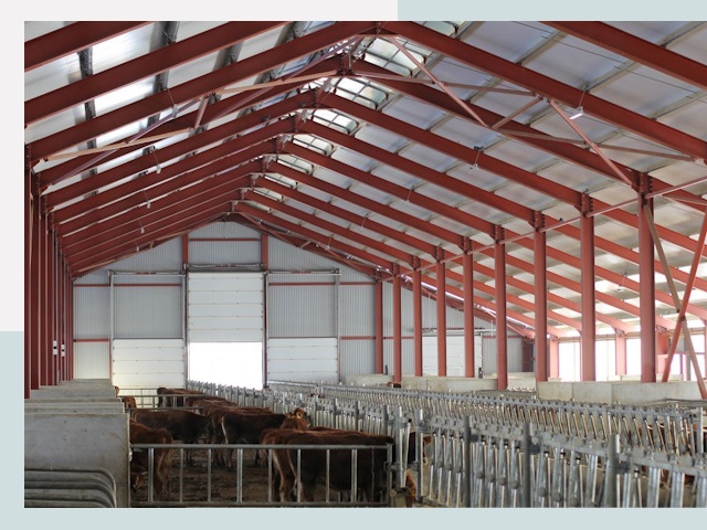 Строительство коровников в Комсомольске-на-Амуре