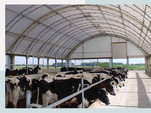 Тентовые коровники в Комсомольске-на-Амуре