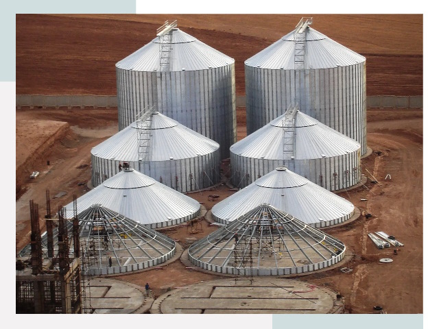 Строительство зерновых силосов в Комсомольске-на-Амуре